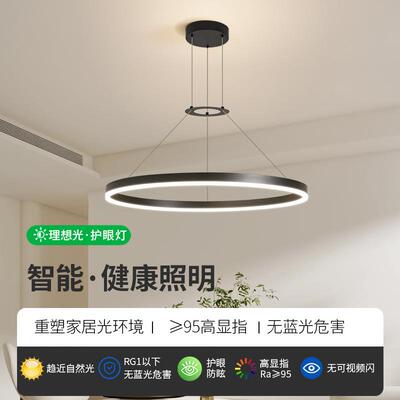 大观园客厅吊灯简约现代全关谱护眼房间卧室灯极简圆环餐厅灯055L