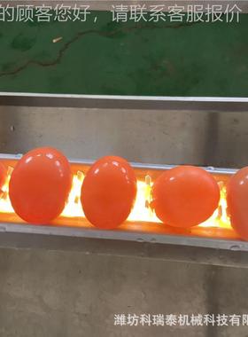 应养殖场鸡蛋清洗干机 供定制全套洗蛋水线 64255流商用洗鸡风蛋