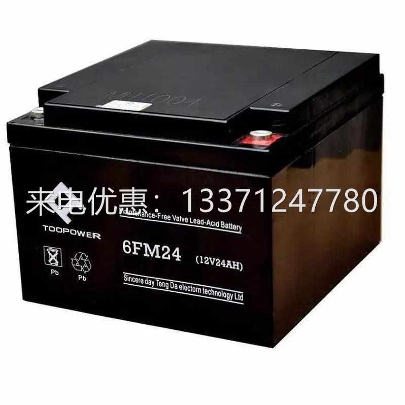 TOOPOWER天力蓄电池6GFM100 6FM7 6FM12 6FM17 6FM24 6GFM65 12V