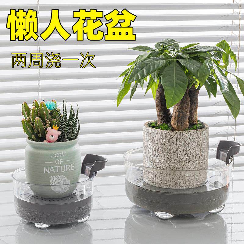 新款懒人自动吸水花盆 创意居家干湿花容器 塑料水培花瓶多肉花盆