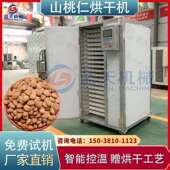 蓝天山桃仁烘干机 智能桃仁烘干机 小型电加热桃核仁山毛桃烘干房