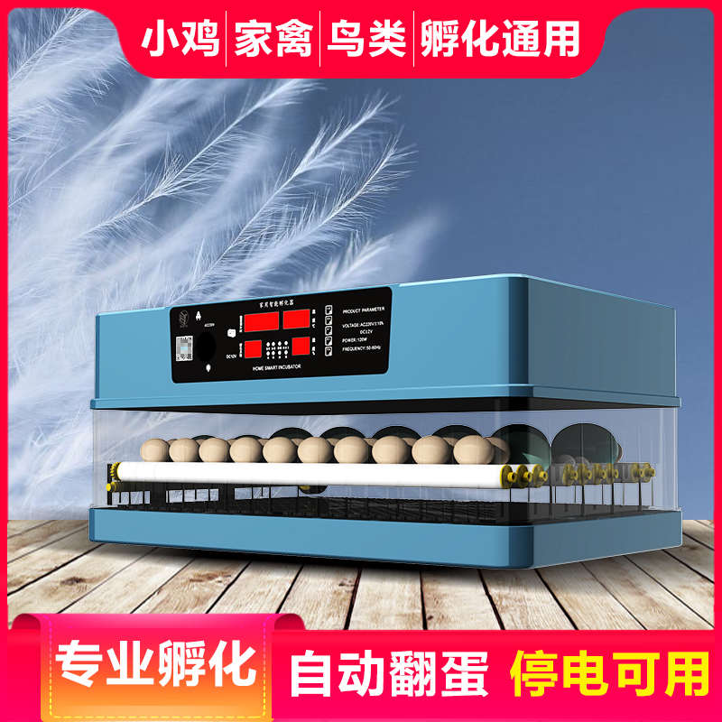 批发孵化器小型家用鸡蛋柯尔鸭鹅鸟全自动智能迷你孵化机孵蛋器