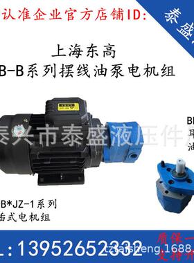 BB-B6JZ-1摆线油泵电机组BB-B10JZ/BB-B4JZ-1上海东高BB-B16NJZ-1