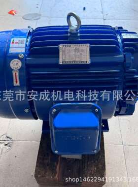 无锡东元电机TECO三相马达TEF3160M1-2 15HP 2P AEMB3N