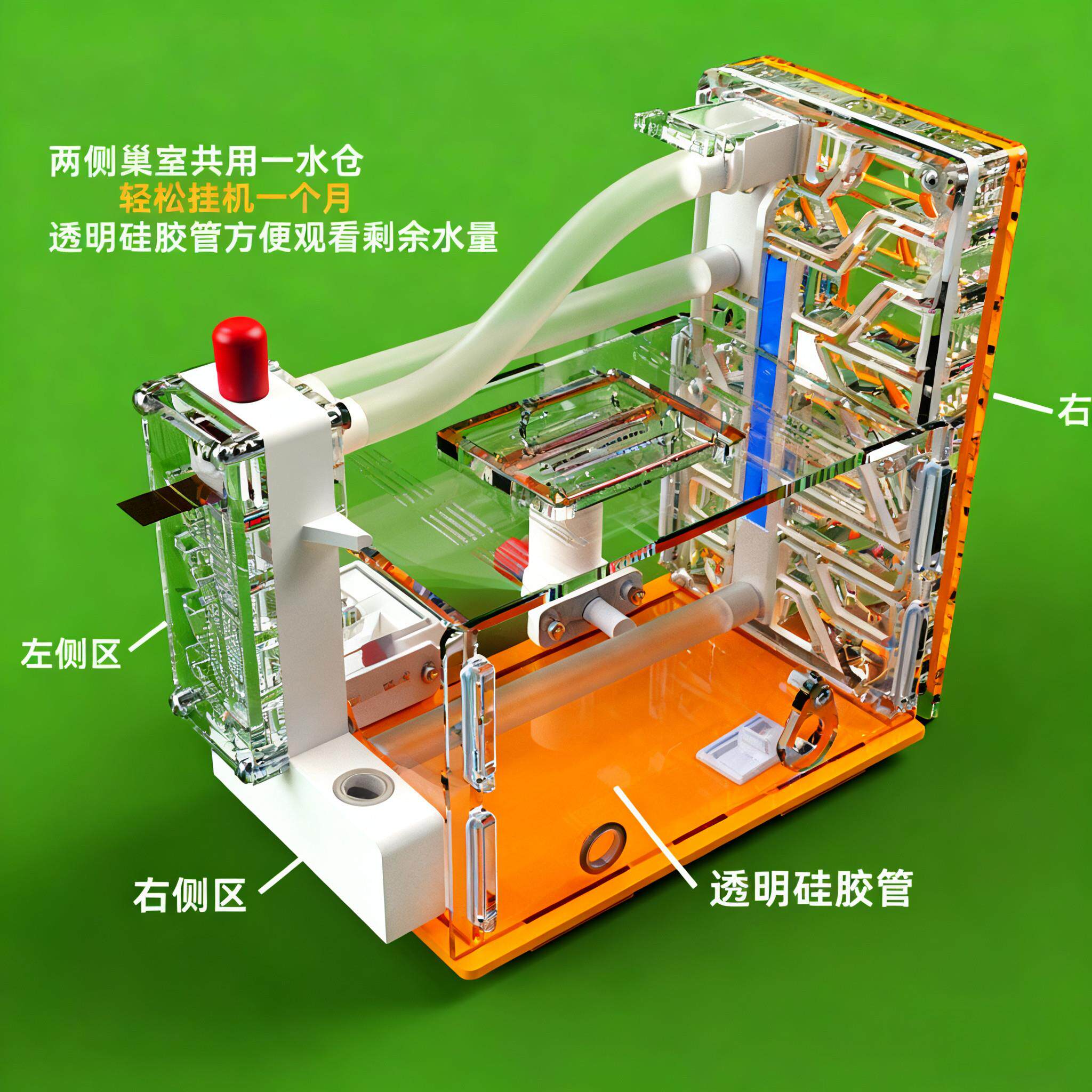 蚂蚁生态箱 蚂蚁工坊蚂蚁城堡多功能蚁巢