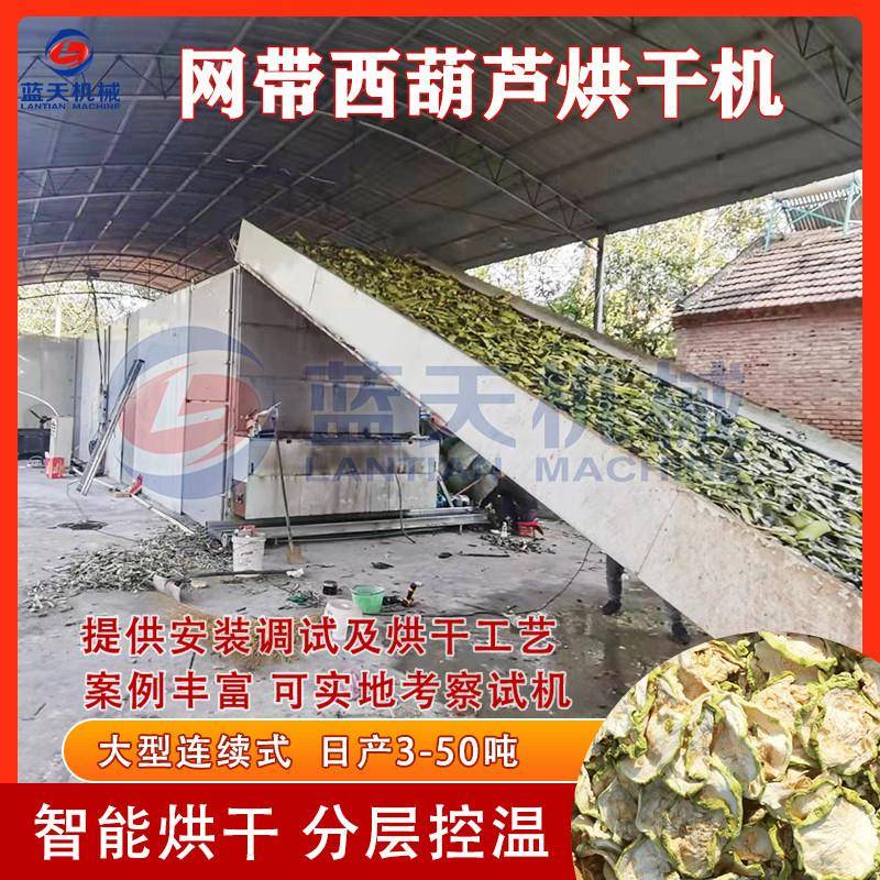 西葫芦烘干机网带式菜瓜西葫芦切片烘干设备白瓜蔬菜脱水干燥机
