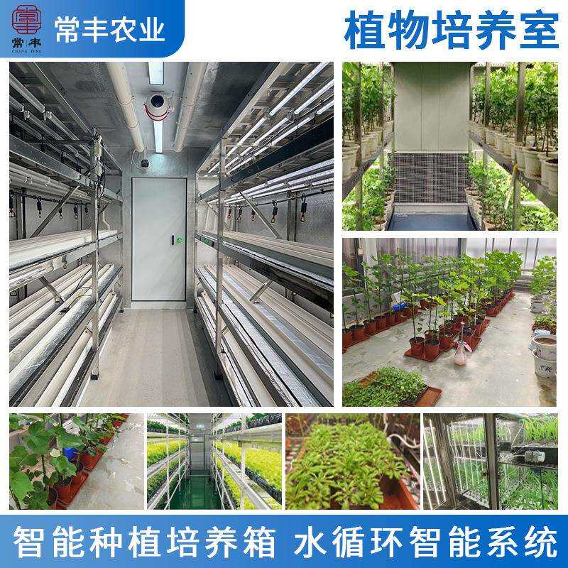 植物培养室植物人工室育苗植物恒温式加热室热垫室内发酵箱