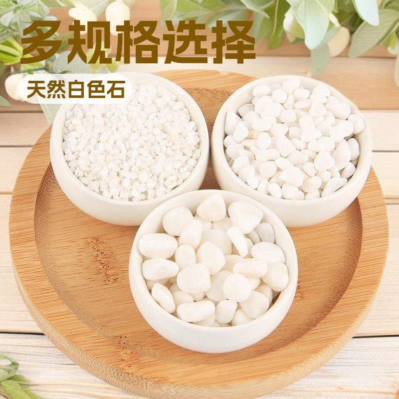 白色鹅卵石花园白石头阳台50白色白石子庭院铺地铺路砾石斤造景