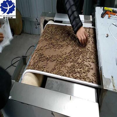 工业微波烘干设备黑水虻黄粉虫隧道式微波烘干机微波膨化设备