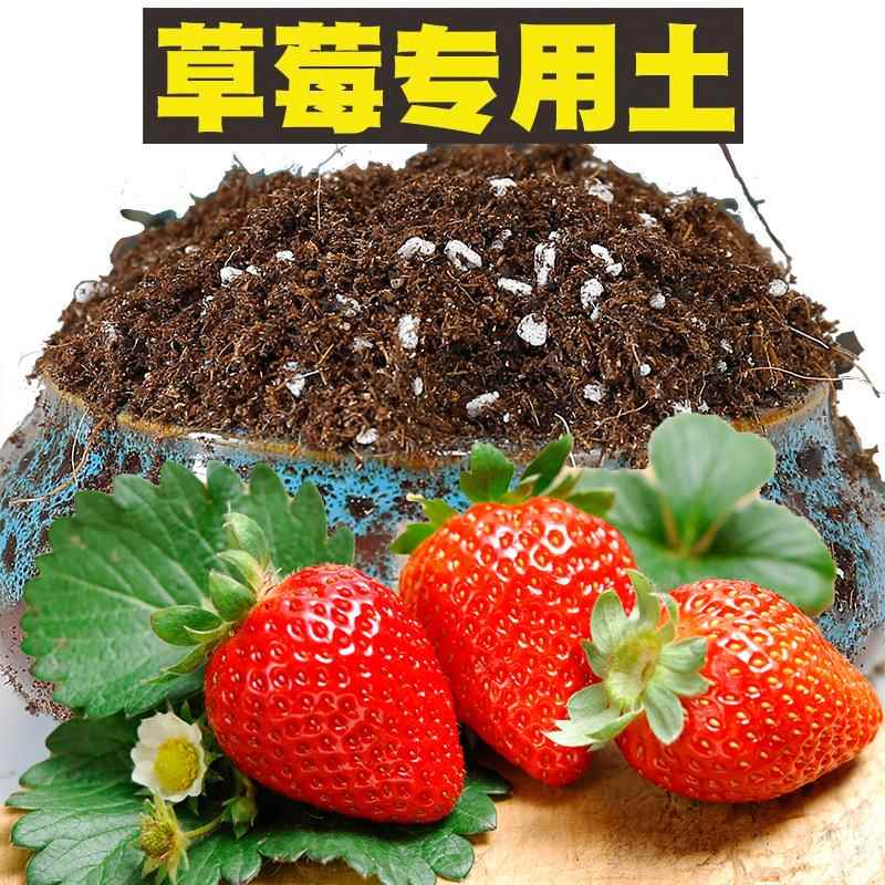 草莓专用营养土种植盆栽家用栽培养花弱酸性泥炭土通用有机肥育苗