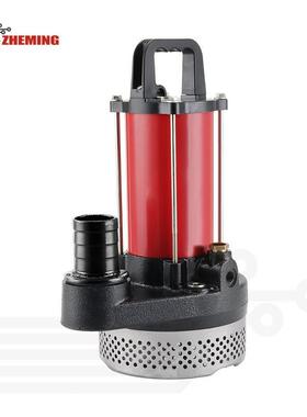 直流泵12v24v48v60v72v2寸大流量高扬程直流电瓶太阳能潜水泵DC