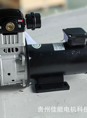 锦穗科技汽车迷你直流单缸110V800W空气压缩机矿车用静音微型