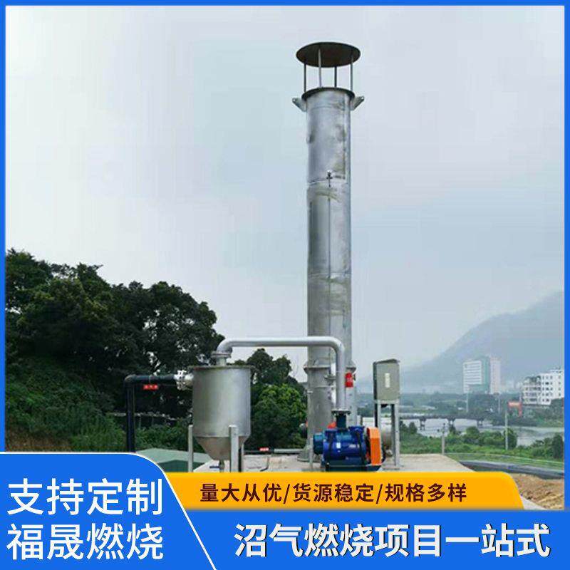 不锈钢304双层内燃式沼气火炬内燃式沼气燃烧器废气设备