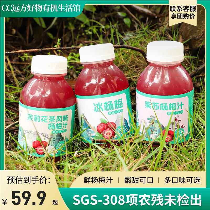 远方的梦想爆火鲜杨梅汁酸甜可口杨梅味浓郁248ml*8瓶多口味可选