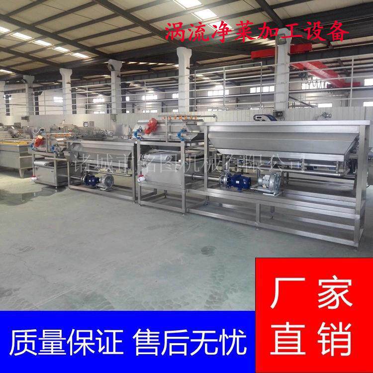 厂家直供蔬菜涡流气泡清洗机魔芋气泡清洗机藕块涡流清洗设备