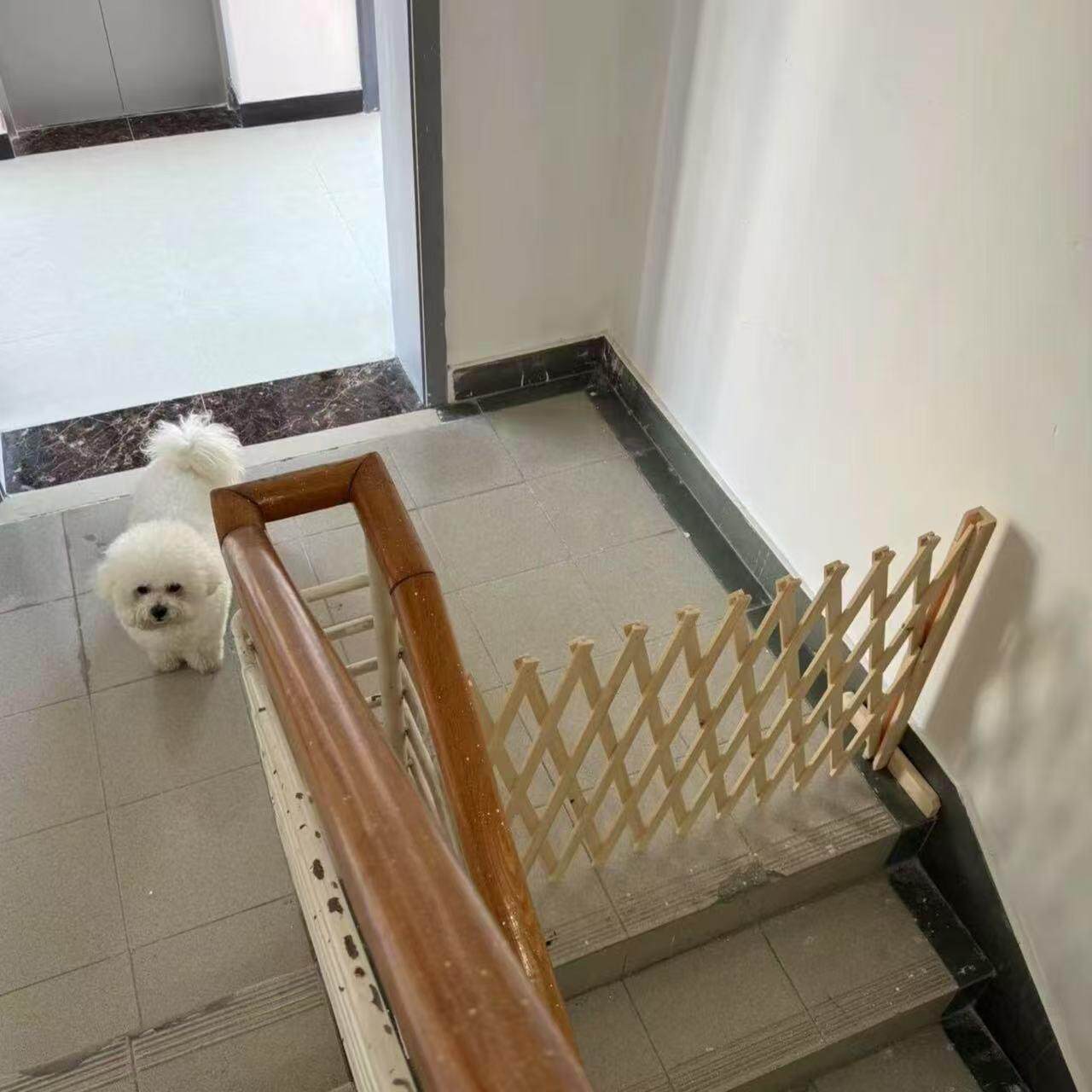 宠物围栏栅栏隔离门户外室内伸缩隔断拦猫拦狗栅栏挡板隔离网门栏