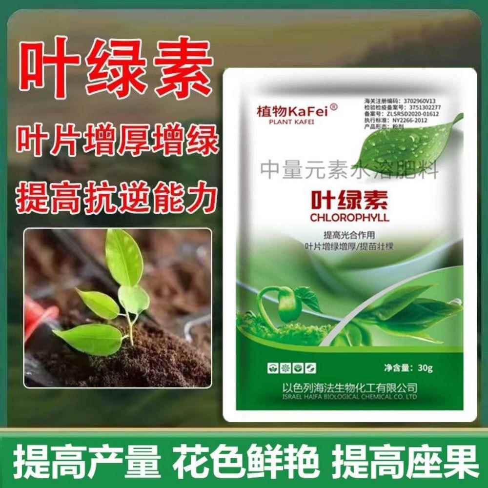 绿叶先锋叶面肥花卉果树蔬菜绿叶壮苗补充养分叶绿素氨基酸水溶肥
