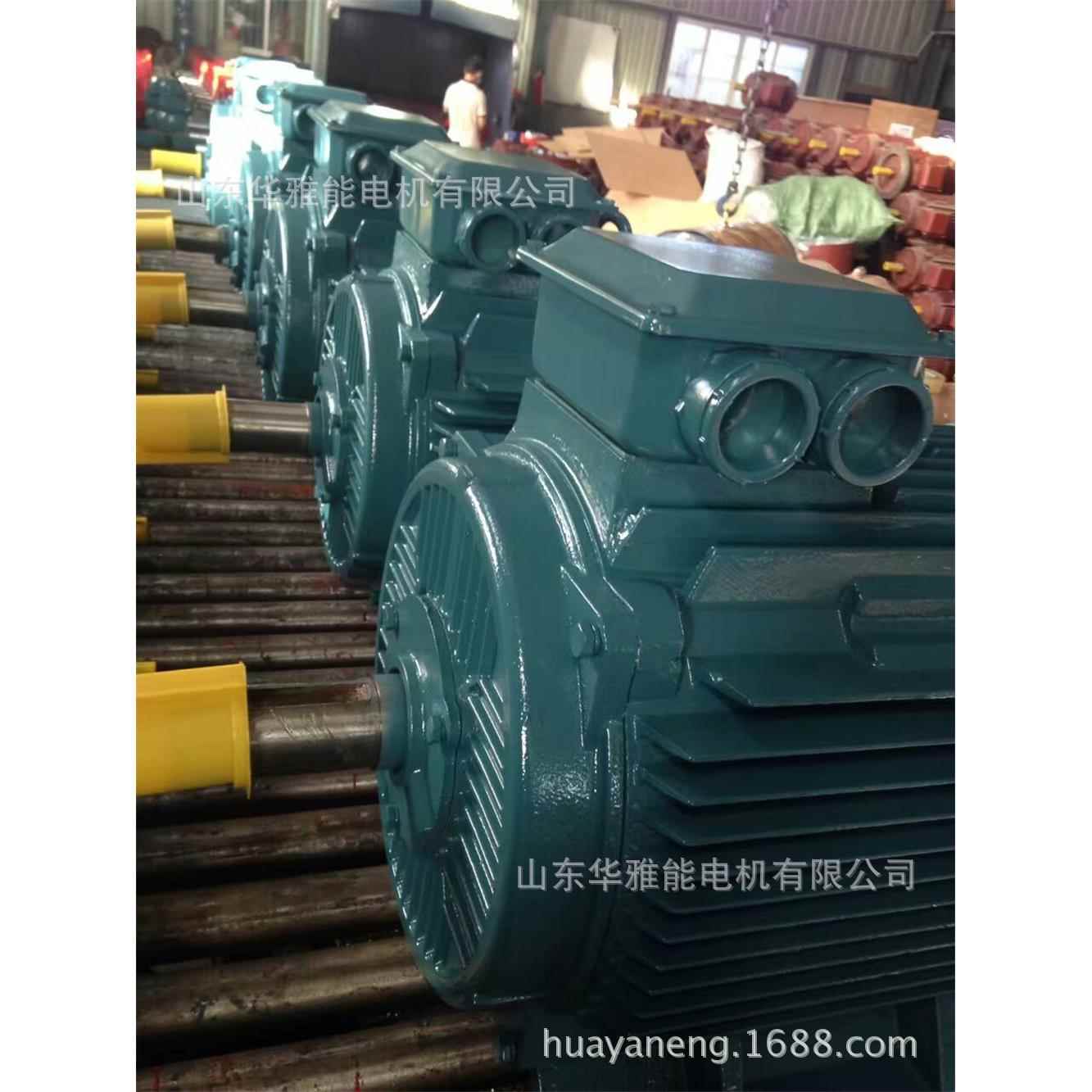 YVPE-315L2-6-132电机替代佳木斯电机YVPE电机防护等级IP55F级