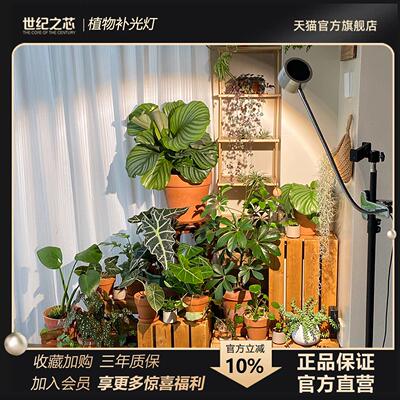 软管夹子室内桌面植物补光灯彷太阳全光谱绿植多肉花卉盆栽生长灯