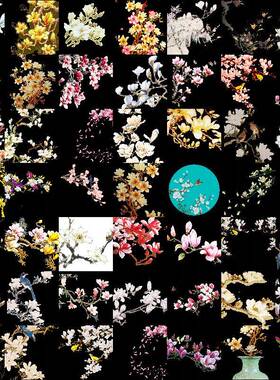 高清兰花玉兰花朵花卉装饰背景PNG免抠图 玉兰花卉插图PS素材63张