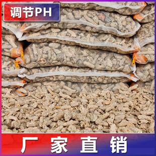 鱼缸滤材珊瑚骨珊瑚砂纯天然鱼池过滤材料养鱼底沙珊瑚石水族造景