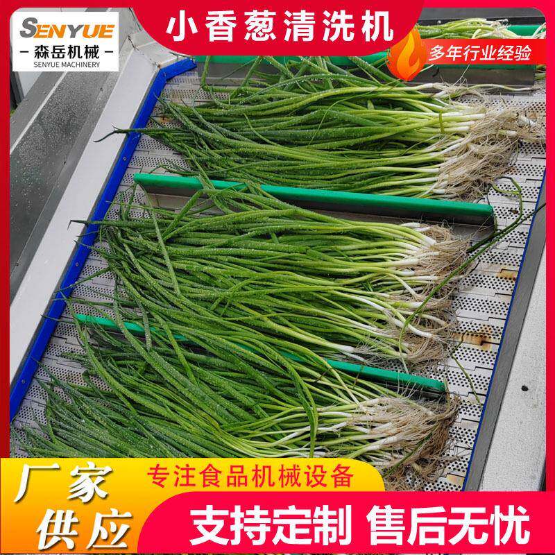 商用全自动香葱清洗机大葱清洗机洗葱机气泡清洗机四季葱清洗机