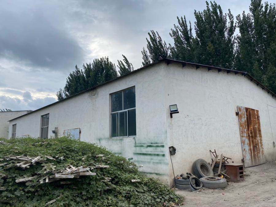 1月19日菏泽棉纺公司土地使用权，地上建、构筑物，机器设备，电子设备，苗木等资产网络拍卖公告