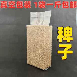 鸟食 稗子草籽草种子芙蓉鸟鹦鹉 珍珠鸟文鸟蛋白质高真空包装500g