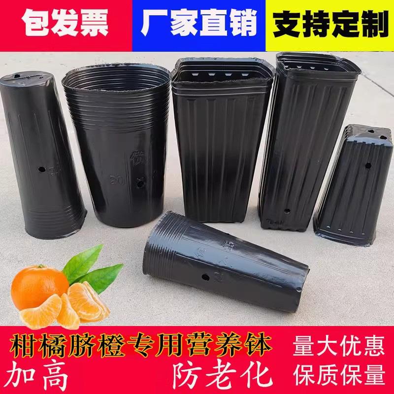 营养钵细长育苗钵圆口营养杯黑育苗盆方口提根蔷薇柑橘桶加高