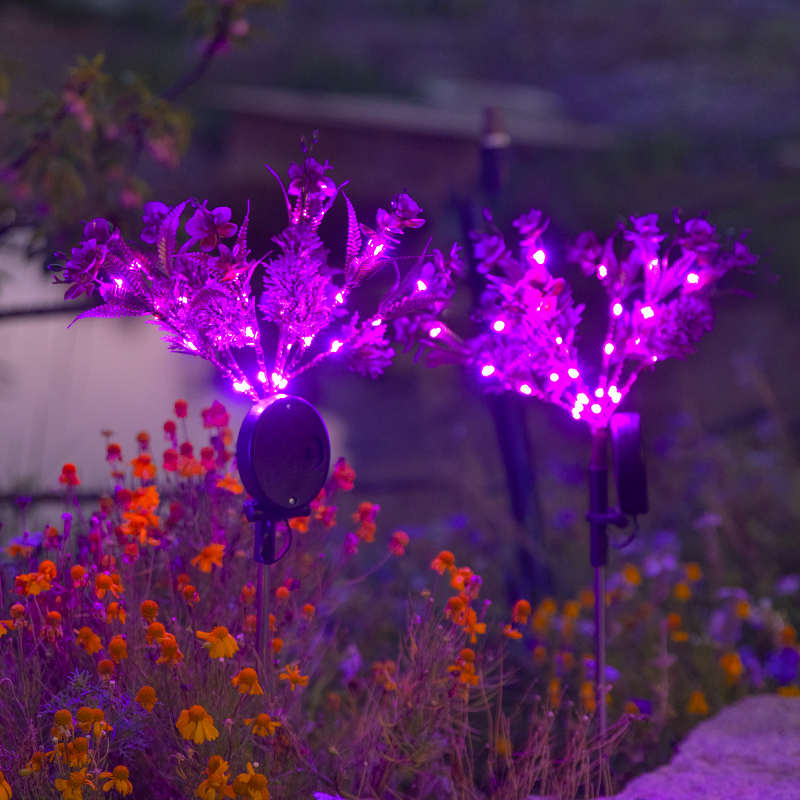 太阳能蝴蝶兰花灯户外防水地插草坪灯庭院花园阳台景观装饰氛围灯