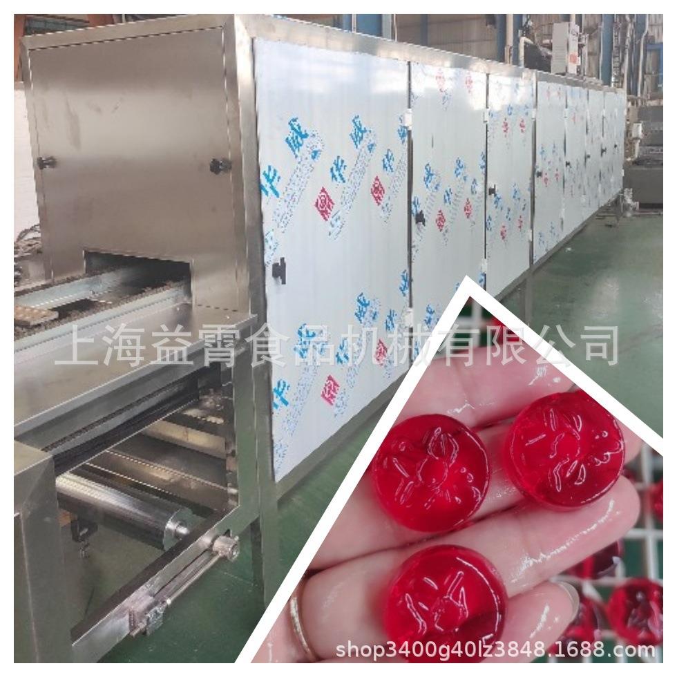 糖果成型机软糖硬糖浇注制造商小型糖果制造设备上海厂家价新品