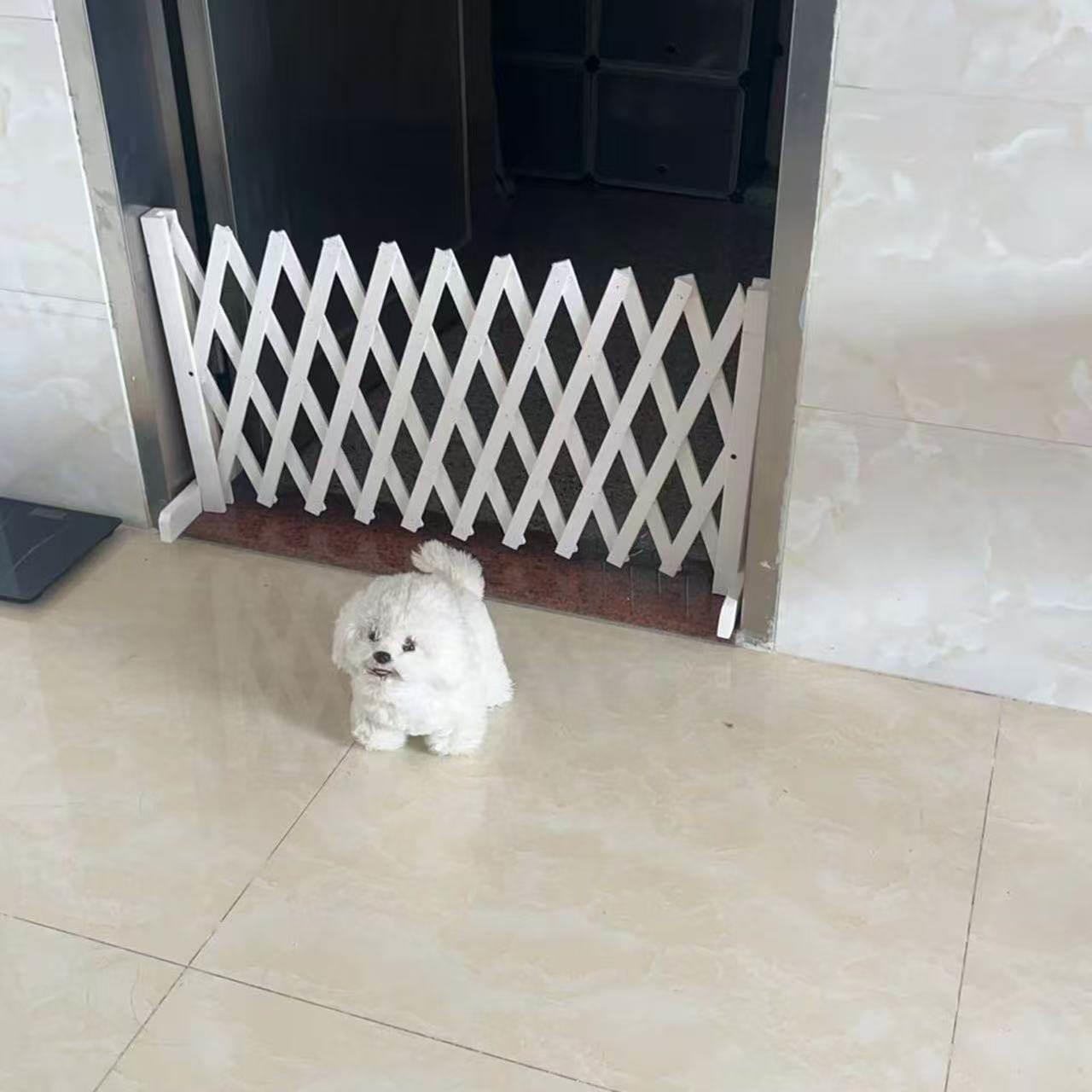 宠物围栏栅栏隔离门户外室内伸缩隔断拦猫拦狗栅栏挡板隔离网门栏