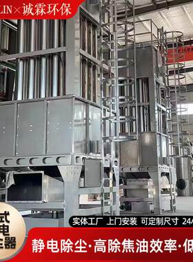 电捕焦油器脱硫脱硝工业锅炉黑白油烟气除尘设备湿式静电除尘器