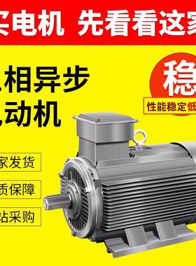 供应YE3-200W-6P电机355M3-6铜线电机马达380V三相异步电动机