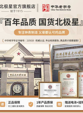 时钟挂墙钟表挂钟客厅2024新款家用现代简约石英钟挂表静音振尾荣