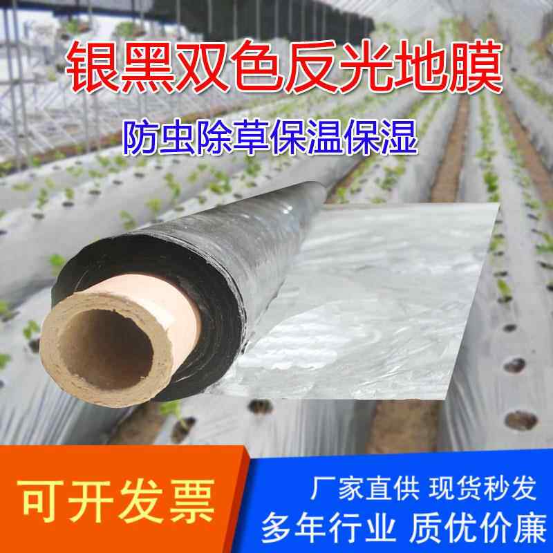 农用银黑地膜蔬菜种植双色反光除草防虫防晒草莓专用育苗银色薄膜