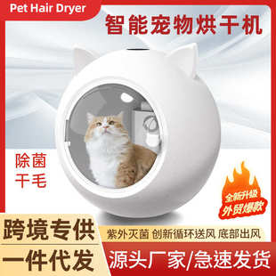 宠物全自动狗猫咪烘干吹水机家用洗澡智能烘干箱