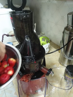 不说假话恩优希NC-91220原汁机怎么样，图案解说其质量？