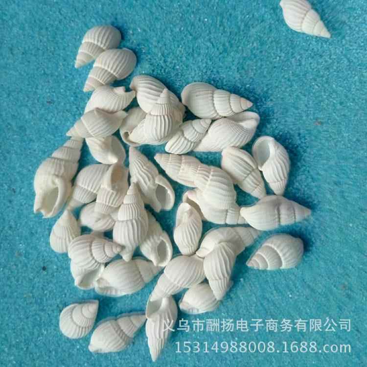 贝壳螺料小白米螺-2厘米手工材微景观漂海流瓶一斤10001个造布景.