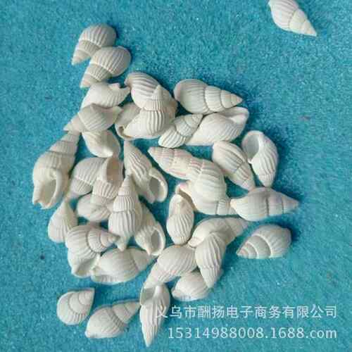 贝壳螺料小白米螺-2厘米手工材微景观漂海流瓶一斤10001个造布景.