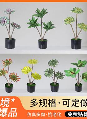 仿真绿植芦荟多肉盆栽假花装饰 室内摆件落地商场热带假植物盆栽