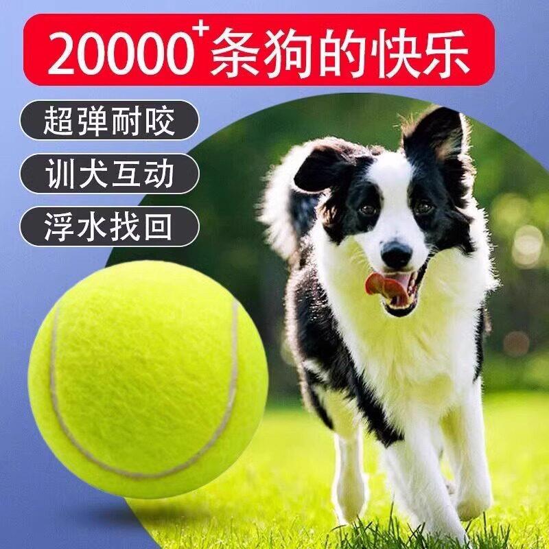 【狗狗玩具球】金毛泰迪耐咬跳跳球拉布拉多磨牙训练宠物玩具网球