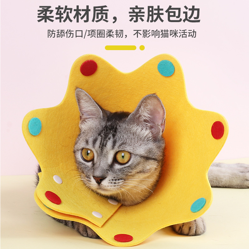 伊丽莎白防护罩宠物伊丽莎白圈