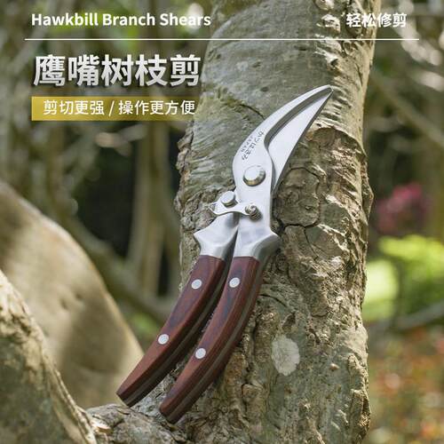 外贸不锈钢果树修枝剪园艺剪自动回弹花枝花艺刀强力摘果嫁接修枝