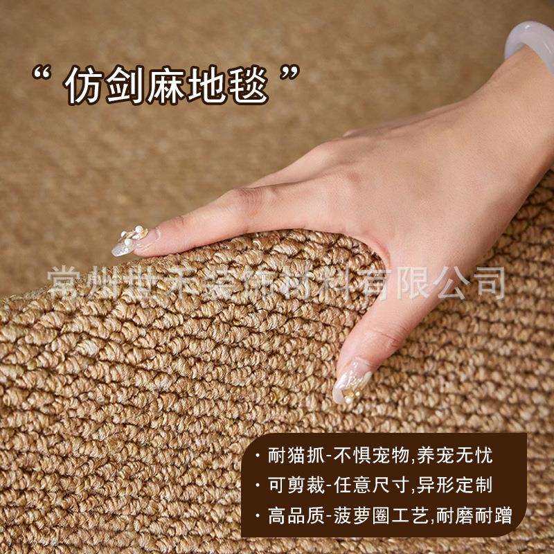 菠萝圈耐厅简约面客厅沙发地毯原ORL木风家居展摄影脏棚复古大积