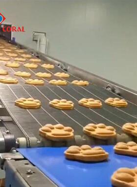 全自动燃气型软华夫生产线 甄格能量饼干设备 珊瑚厂家直销