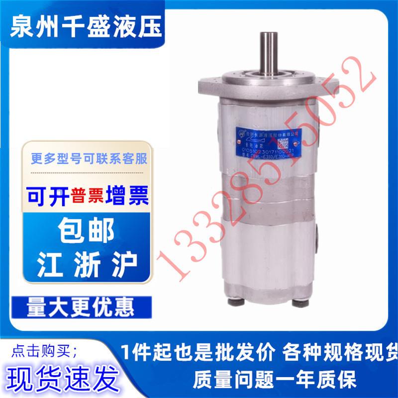 合肥长源 赛源双联齿轮泵CBWL-E310HE306/ E310 E308-CLP/AF/TFZL