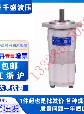 合肥长源 赛源双联齿轮泵CBWL-E310HE306/ E310 E308-CLP/AF/TFZL