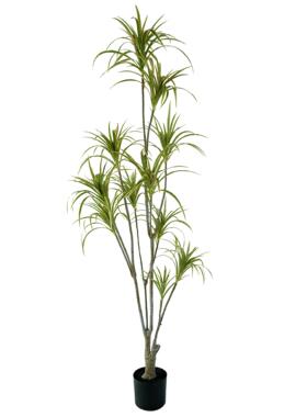 仿真落绿千年龙血铁树假植铁树物盆栽北欧木客厅室内造景地装2203