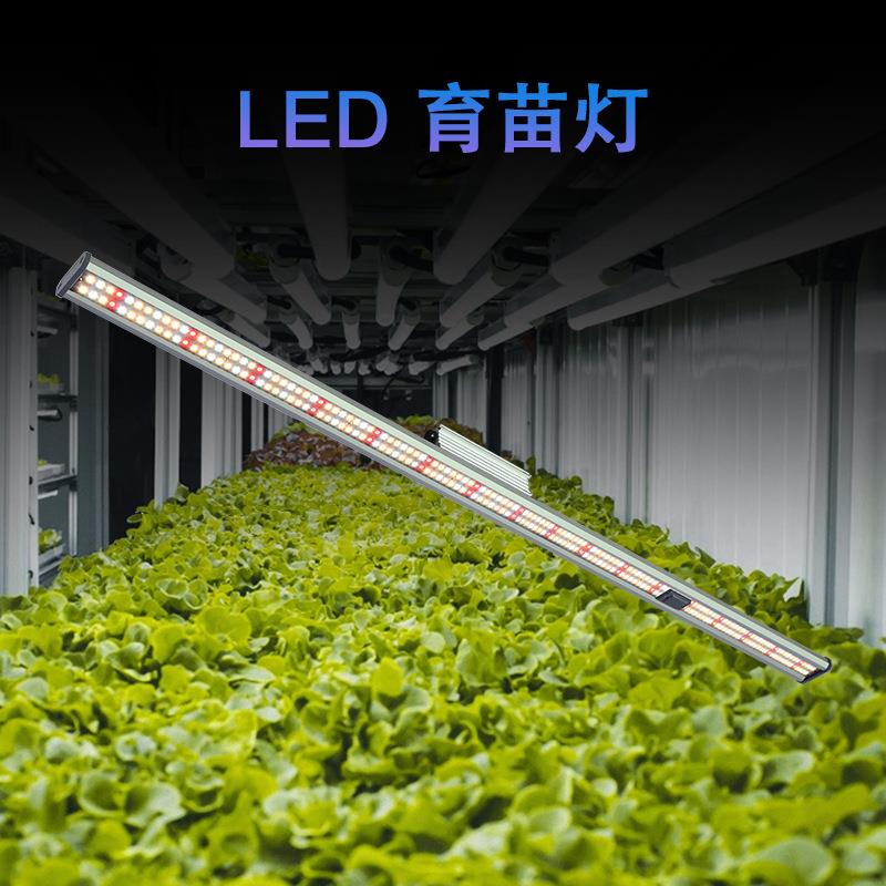 植物生长150W太阳模拟灯育苗盒温室繁殖植物补光灯led灯条全光谱图片